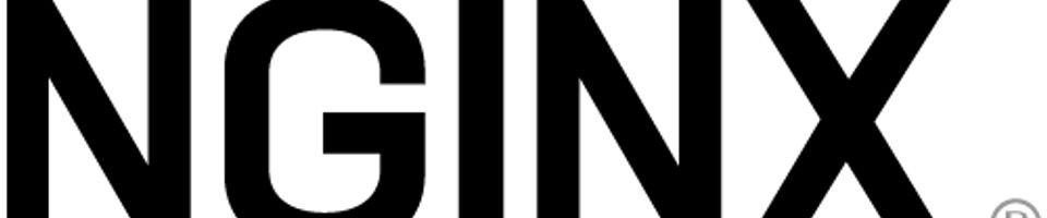 NGINX config for Single Page Applications