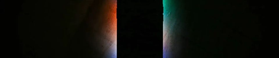 Native? Hybrid? Web App?